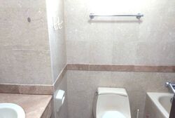 Tanglin Regency (D10), Condominium #603762791